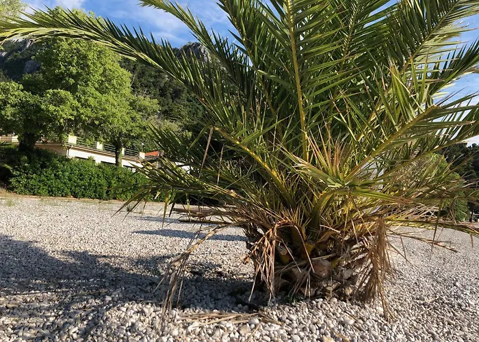 Villa Sabine Apartment Losinj