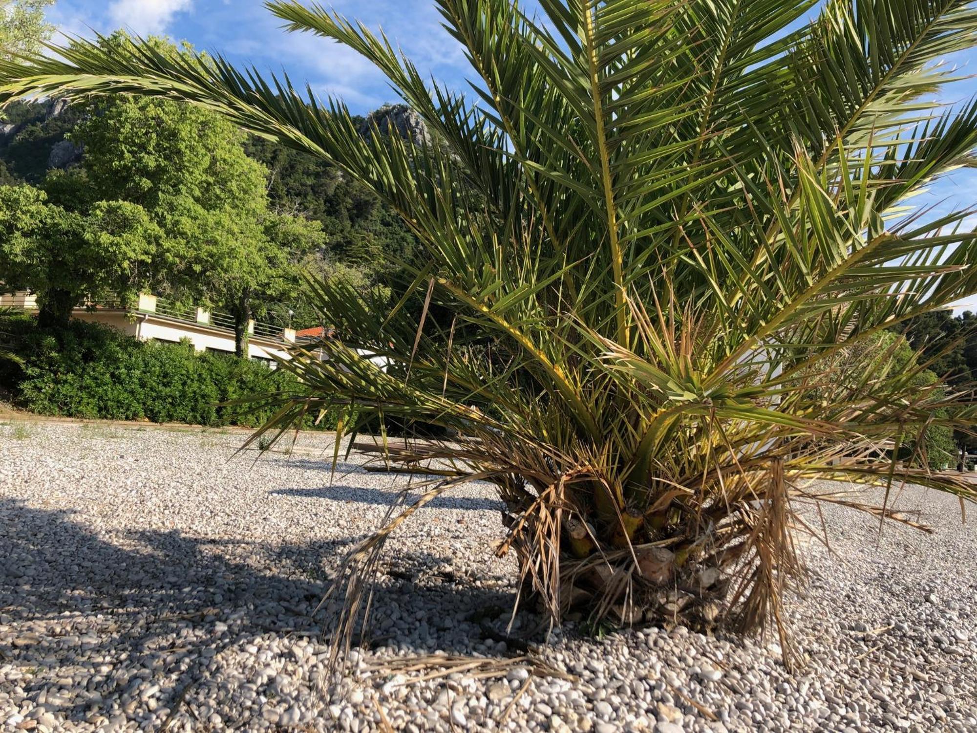 Apartment Sabine Losinj *
